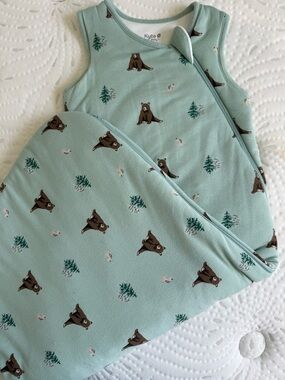 Kyte BABY Mint Green Bear Sleep Sack